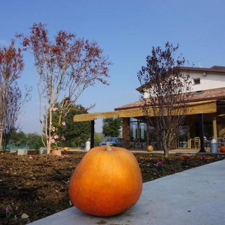 Agriturismo Campogrande Carpaneto Piacentino ภายนอก รูปภาพ