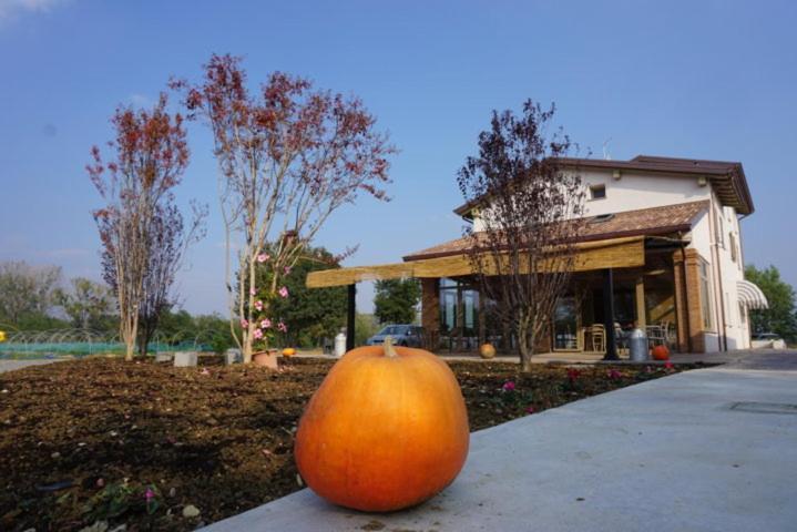 Agriturismo Campogrande Carpaneto Piacentino ภายนอก รูปภาพ