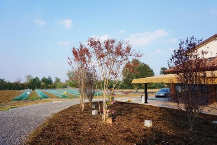 Agriturismo Campogrande Carpaneto Piacentino ภายนอก รูปภาพ